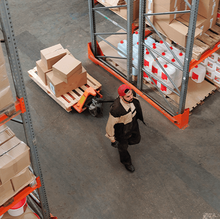 Descarga y trámites de importación